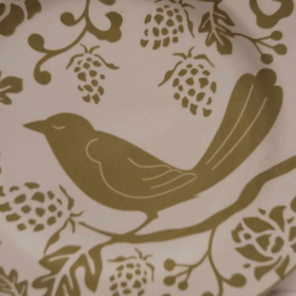 Beautiful Pier 1 Plate